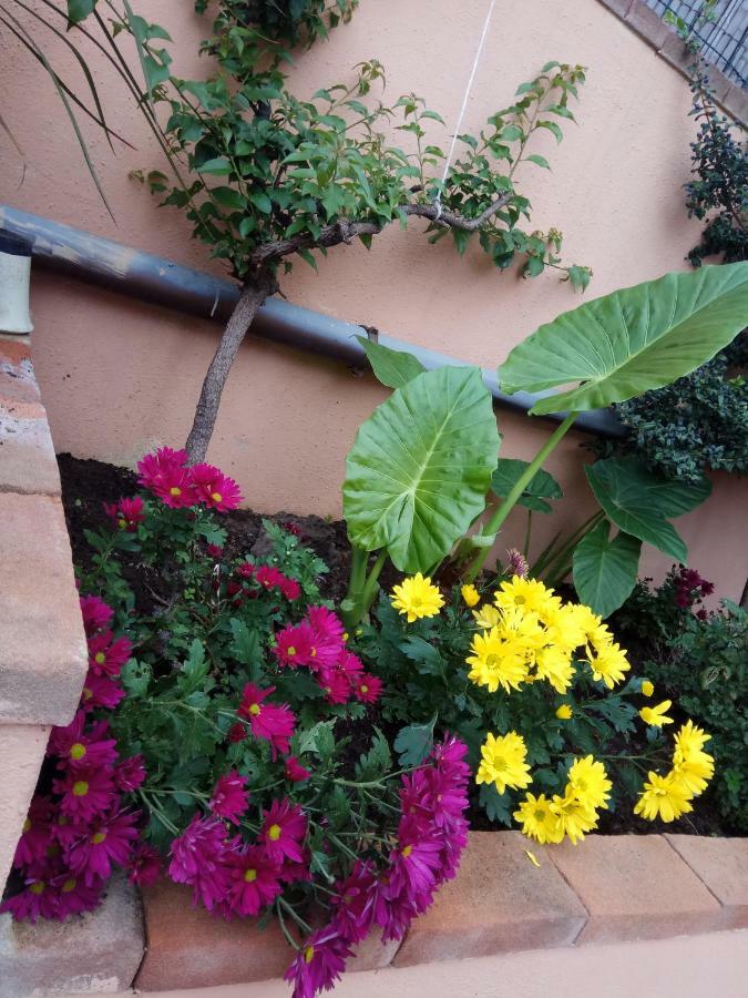 Appartamento In Zona Residenziale Orosei Exteriér fotografie