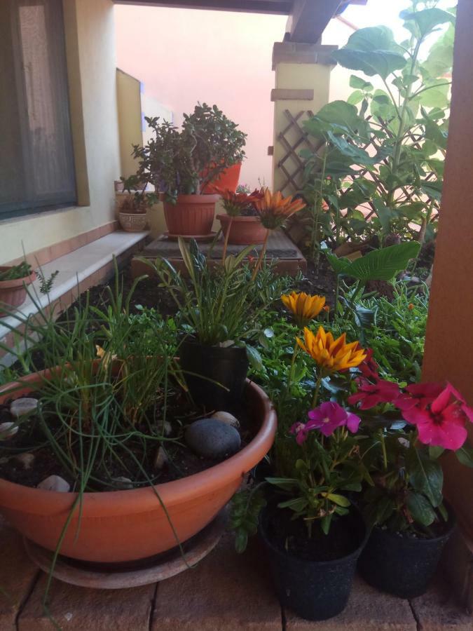 Appartamento In Zona Residenziale Orosei Exteriér fotografie